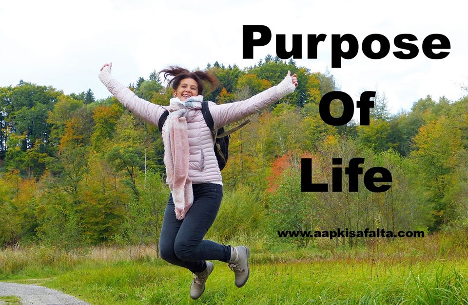 meaning of life hindi